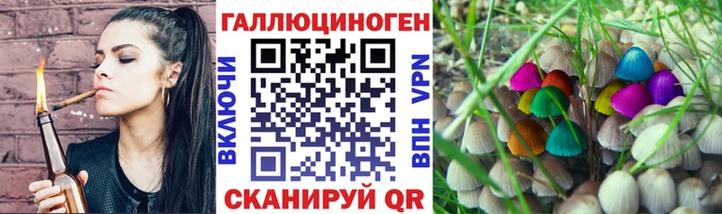 Купить  Томилино  Галлюциногенные грибы ЛСД 